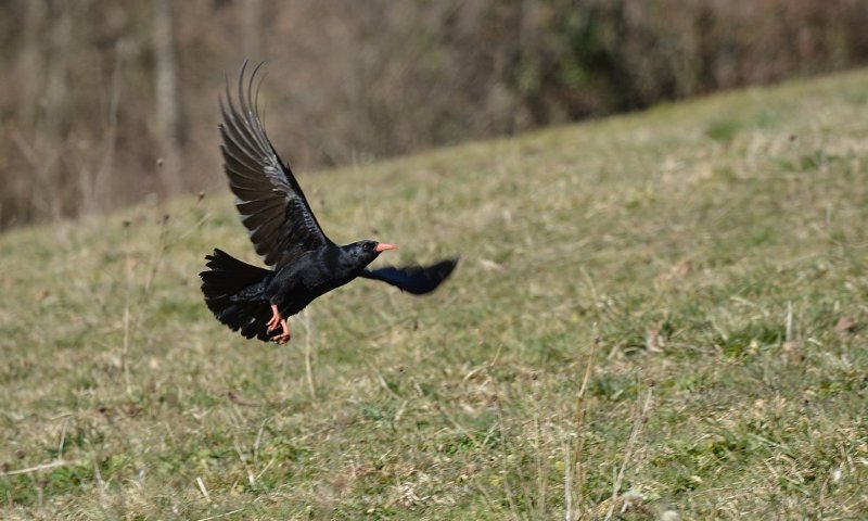DSC_2224.JPG